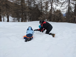 PXL 20210204 093255312